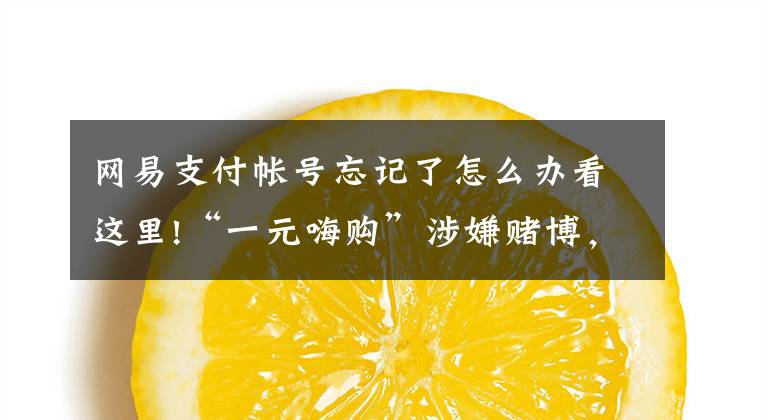网易支付帐号忘记了怎么办看这里!“一元嗨购”涉嫌赌博,专家表示涉赌定性需明确