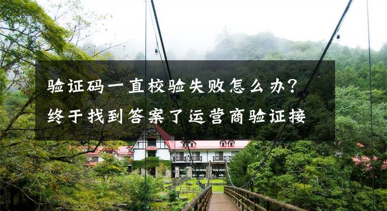 验证码一直校验失败怎么办?终于找到答案了运营商验证接口验证失败的原因