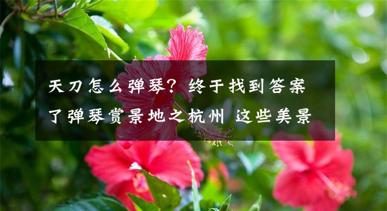 天刀怎么弹琴？终于找到答案了弹琴赏景地之杭州 这些美景之地你去过吗？