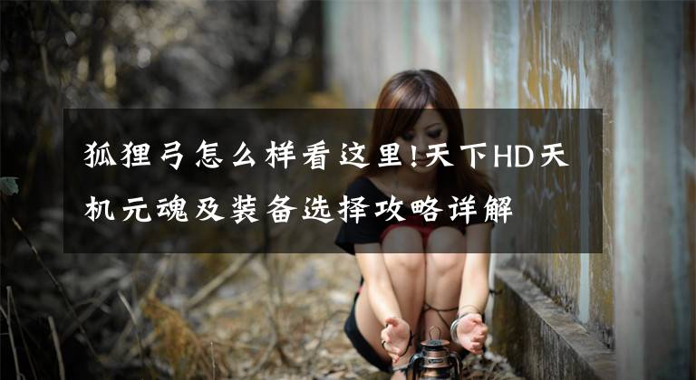 狐狸弓怎么样看这里!天下HD天机元魂及装备选择攻略详解