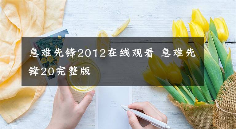 急难先锋2012在线观看 急难先锋20完整版