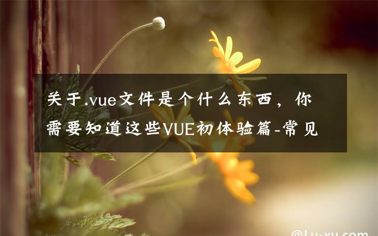 关于.vue文件是个什么东西，你需要知道这些VUE初体验篇-常见文件说明