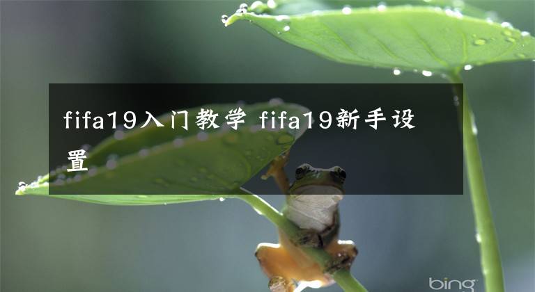 fifa19入门教学 fifa19新手设置