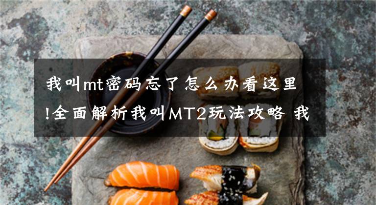 我叫mt密码忘了怎么办看这里!全面解析我叫MT2玩法攻略 我叫MT2攻略索引