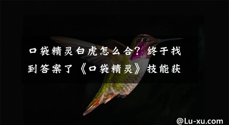 口袋精灵白虎怎么合?终于找到答案了《口袋精灵》技能获取及升级详解攻略