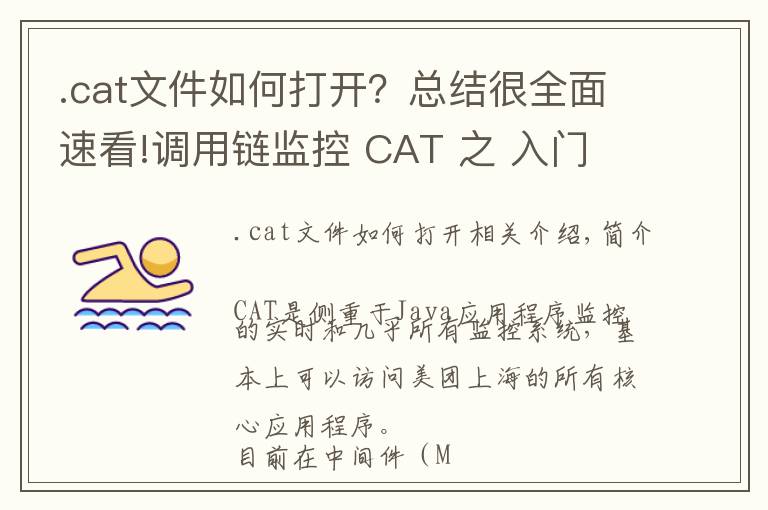.cat文件如何打开?总结很全面速看!调用链监控 CAT 之 入门