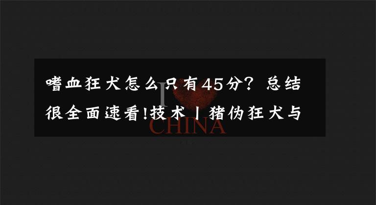嗜血狂犬怎么只有45分?总结很全面速看!技术丨猪伪狂犬与猪副嗜血杆菌病混感病例的诊治体会