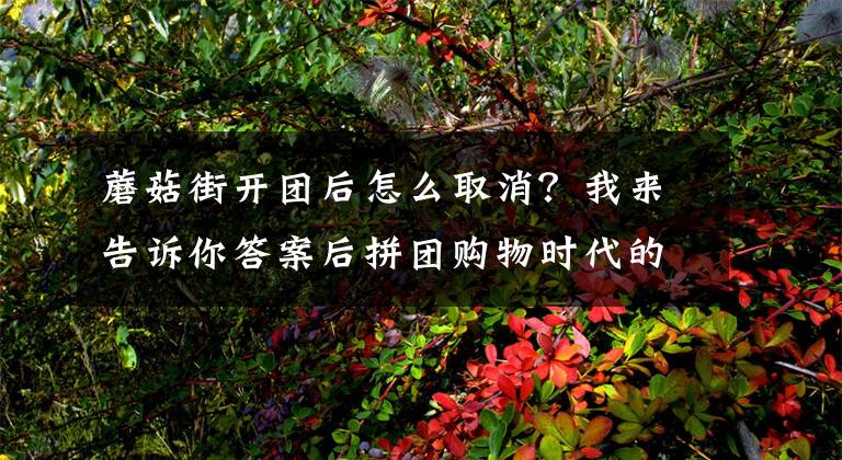 蘑菇街开团后怎么取消?我来告诉你答案后拼团购物时代的激情在哪