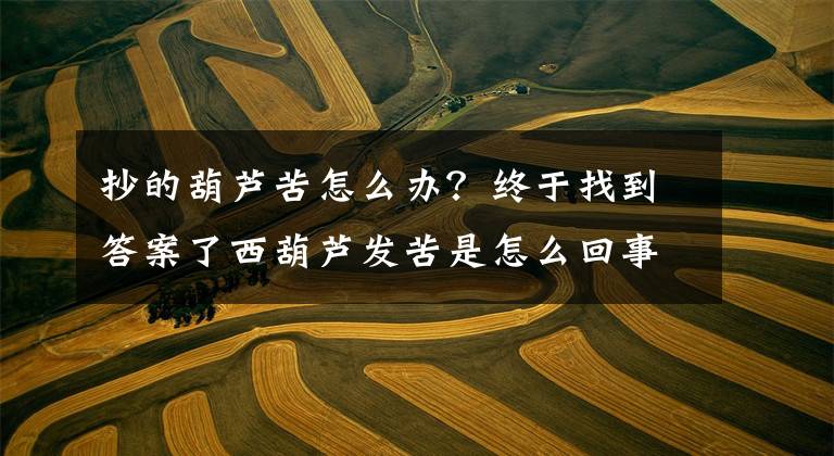 抄的葫芦苦怎么办?终于找到答案了西葫芦发苦是怎么回事 西葫芦发苦能吃吗