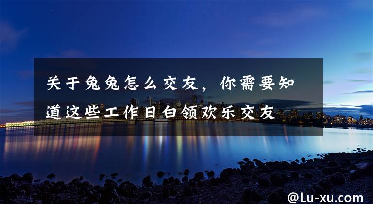 关于兔兔怎么交友,你需要知道这些工作日白领欢乐交友