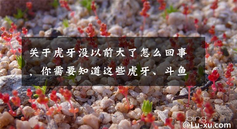 关于虎牙没以前大了怎么回事，你需要知道这些虎牙、斗鱼合并！B站压力大，大主播头疼