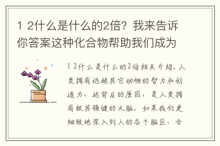 1 2什么是什么的2倍?我来告诉你答案这种化合物帮助我们成为最聪明的动物