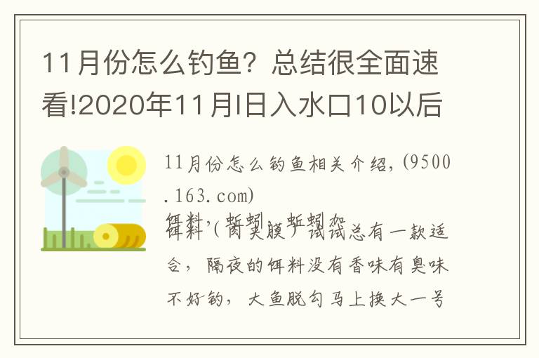 11月份怎么钓鱼?总结很全面速看!2020年11月I日入水口10以后鲫鱼开口