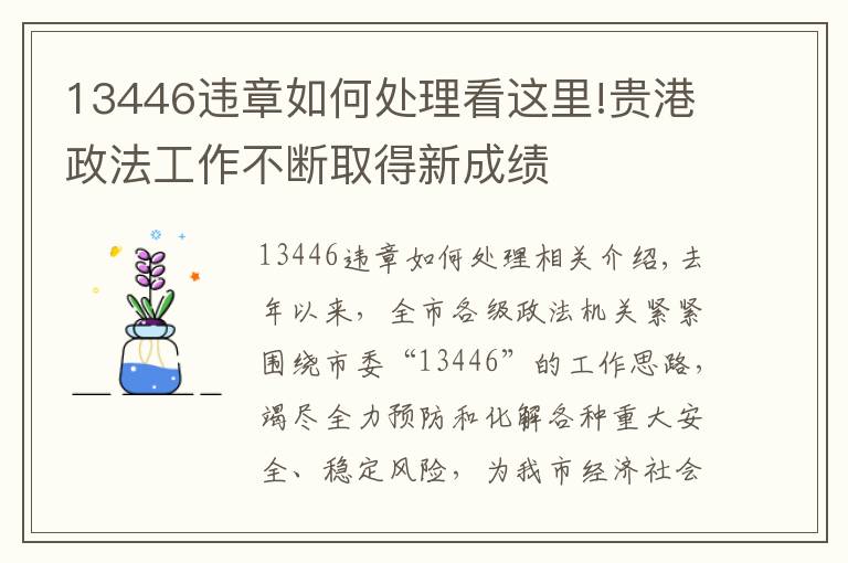 13446违章如何处理看这里!贵港政法工作不断取得新成绩
