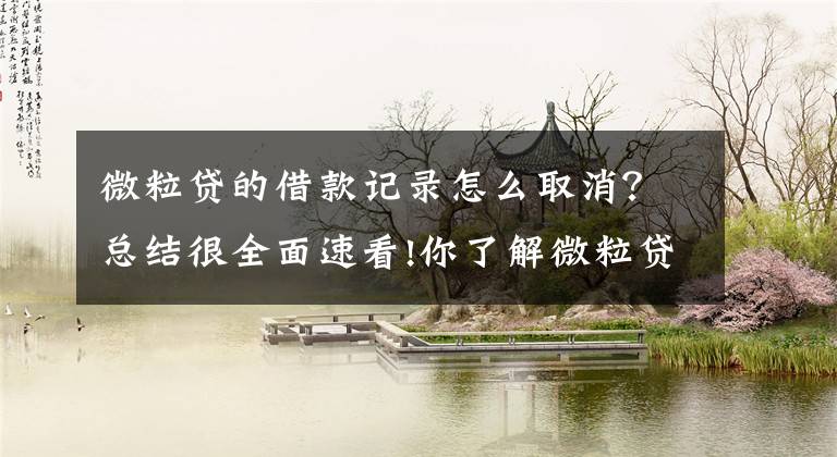 微粒贷的借款记录怎么取消?总结很全面速看!你了解微粒贷吗?