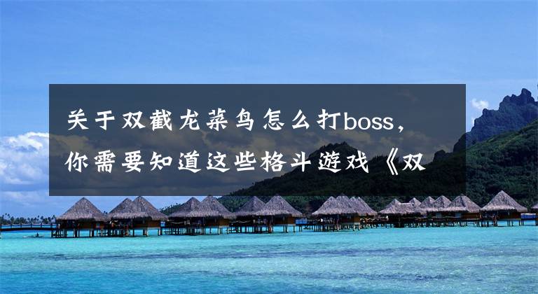 关于双截龙菜鸟怎么打boss，你需要知道这些格斗游戏《双截龙》真正无解的必杀技，就连BOSS都不敢硬碰硬