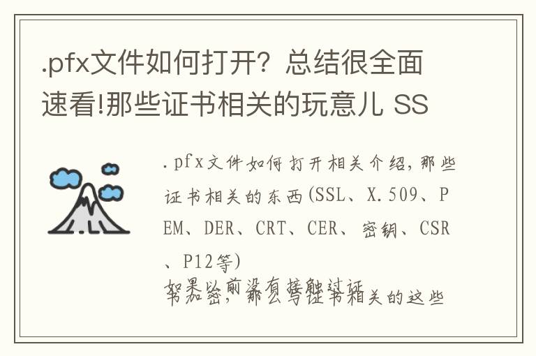 .pfx文件如何打开?总结很全面速看!那些证书相关的玩意儿 SSL,X.509,PEM,DER,CRT,CER,KEY,CSR,P12等