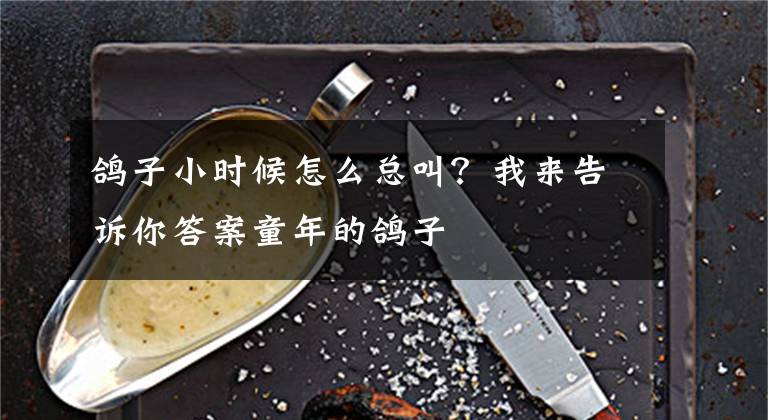 鸽子小时候怎么总叫？我来告诉你答案童年的鸽子