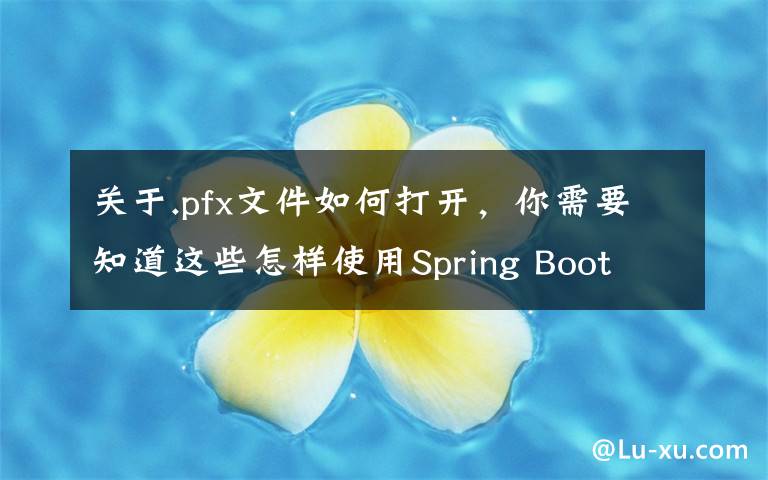 关于.pfx文件如何打开,你需要知道这些怎样使用Spring Boot 集成配置 HTTPS