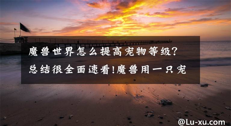 魔兽世界怎么提高宠物等级?总结很全面速看!魔兽用一只宠物升级50-60