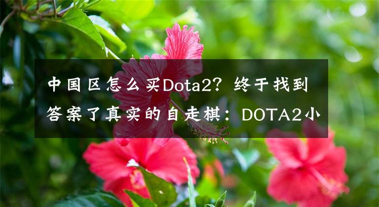 中国区怎么买Dota2？终于找到答案了真实的自走棋：DOTA2小本新玩法——边路商店上手攻略