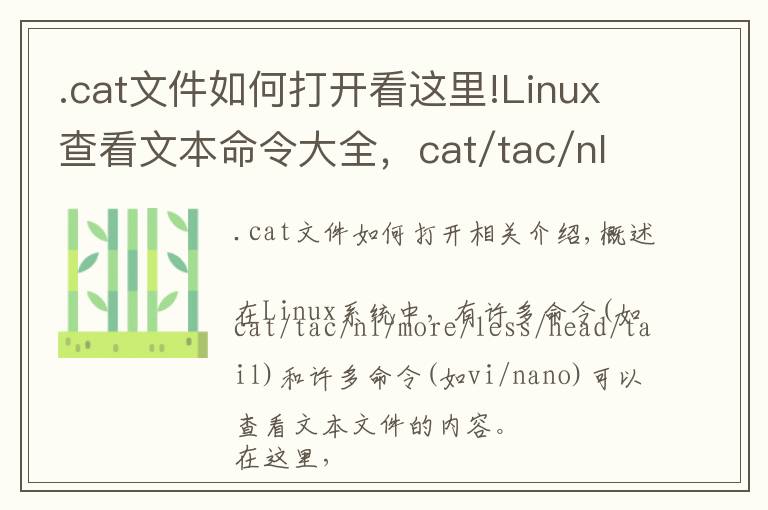 .cat文件如何打开看这里!Linux查看文本命令大全，cat/tac/nl/more/less/head/tail/vi