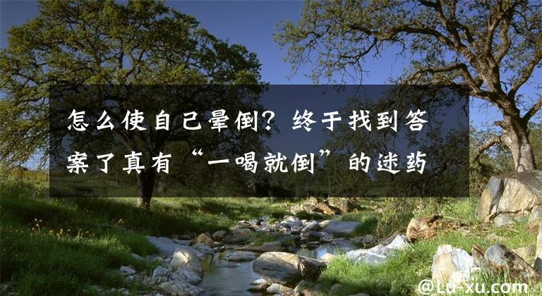 怎么使自己晕倒？终于找到答案了真有“一喝就倒”的迷药？90后男子给多人下药，被害人却毫不知情