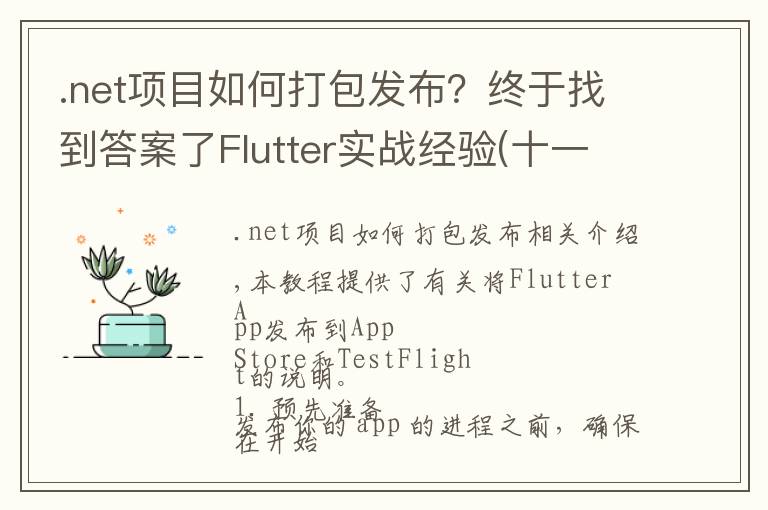 .net项目如何打包发布?终于找到答案了Flutter实战经验(十一):打包和发布到 iOS 平台