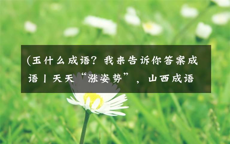 (玉什么成语?我来告诉你答案成语丨天天“涨姿势”,山西成语巡展——如花似玉