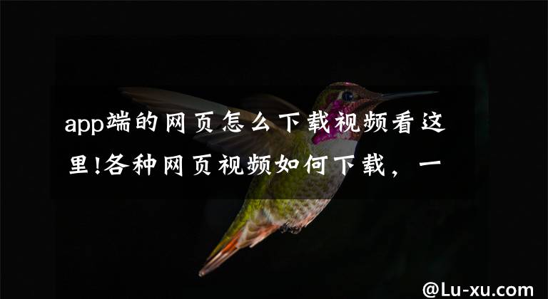 app端的网页怎么下载视频看这里!各种网页视频如何下载，一招帮你搞定