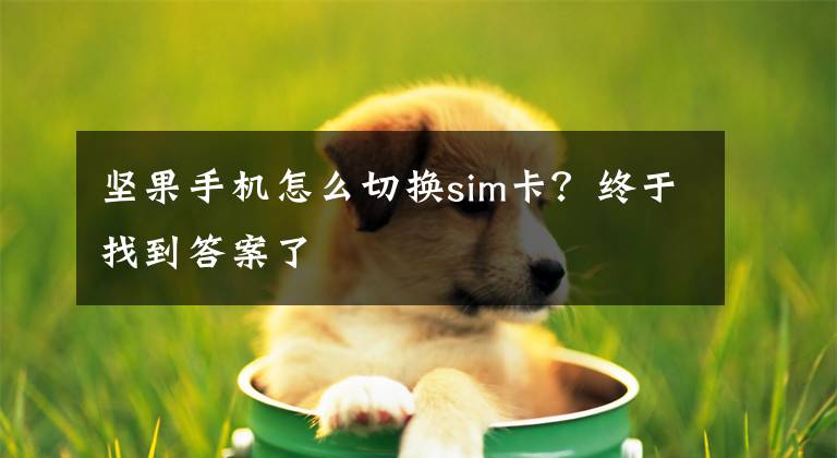坚果手机怎么切换sim卡？终于找到答案了