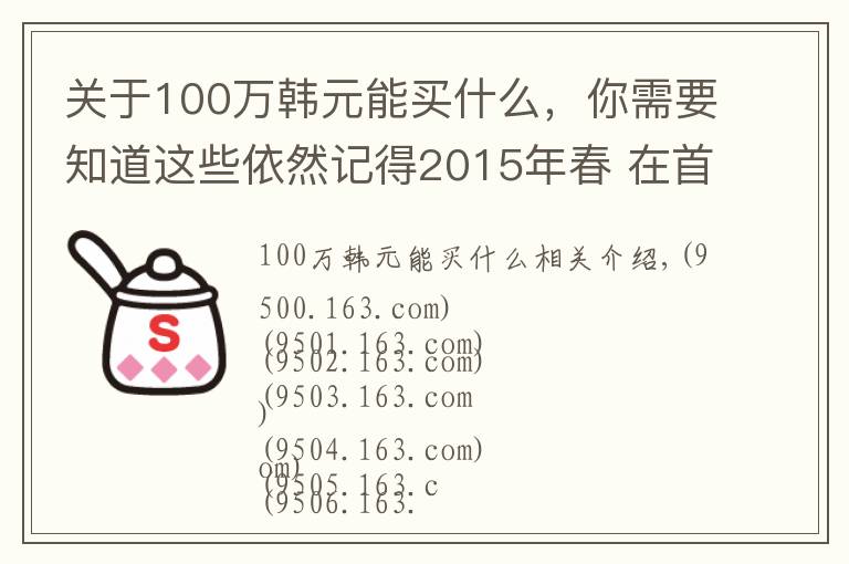 关于100万韩元能买什么,你需要知道这些依然记得2015年春 在首尔100多万韩币买的miumiu包包