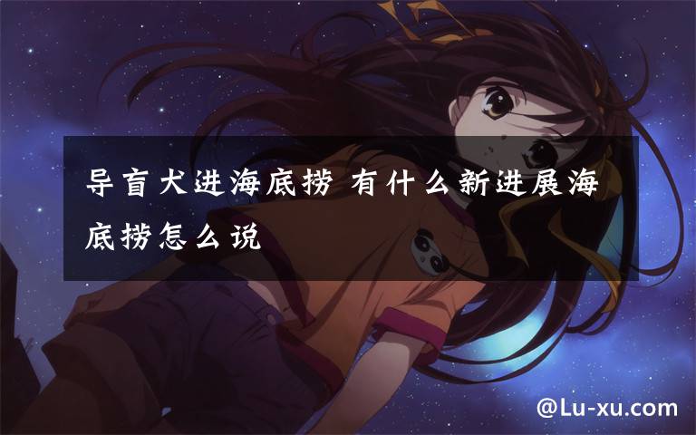 导盲犬进海底捞 有什么新进展海底捞怎么说