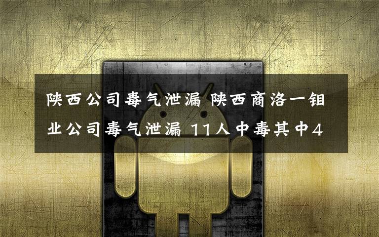 陕西公司毒气泄漏 陕西商洛一钼业公司毒气泄漏 11人中毒其中4人死亡