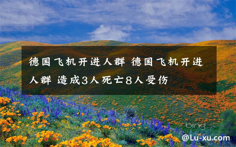 德国飞机开进人群 德国飞机开进人群 造成3人死亡8人受伤