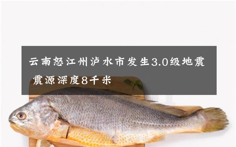 云南怒江州泸水市发生3.0级地震 震源深度8千米