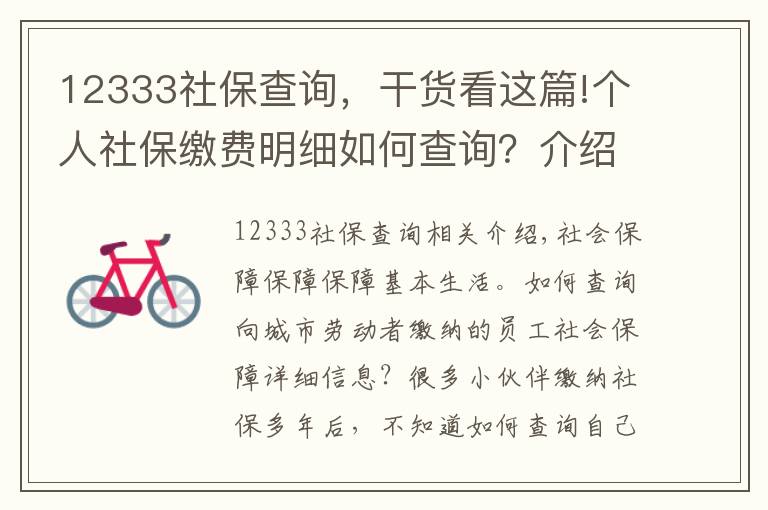 12333社保查询，干货看这篇!个人社保缴费明细如何查询？介绍四个方法