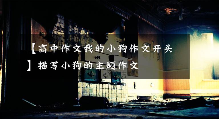 【高中作文我的小狗作文开头】描写小狗的主题作文