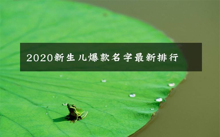 2020新生儿爆款名字最新排行