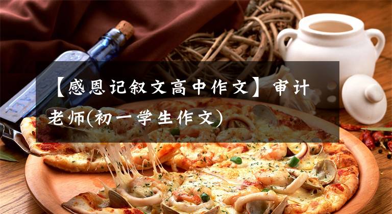 【感恩记叙文高中作文】审计老师(初一学生作文)