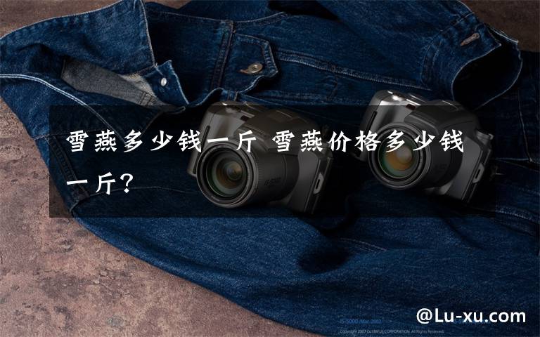 雪燕多少钱一斤 雪燕价格多少钱一斤?