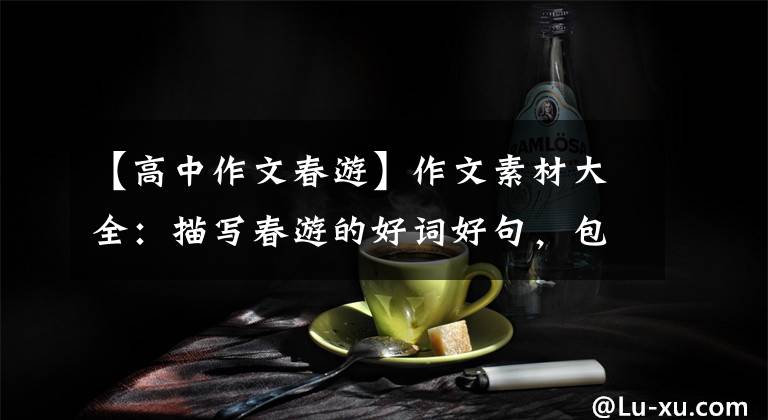 【高中作文春游】作文素材大全:描写春游的好词好句,包含写作技巧,值得收藏!