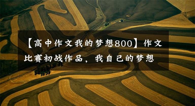 【高中作文我的梦想800】作文比赛初战作品，我自己的梦想