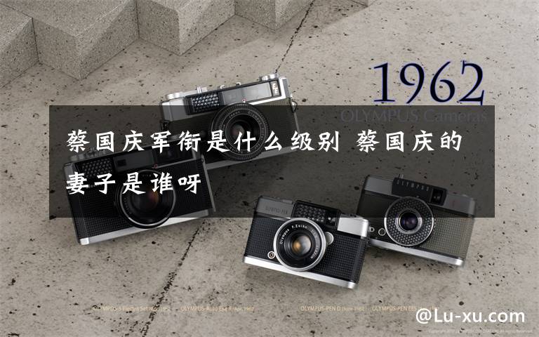 蔡国庆军衔是什么级别 蔡国庆的妻子是谁呀