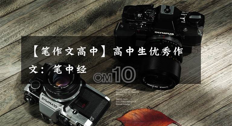 【笔作文高中】高中生优秀作文：笔中经