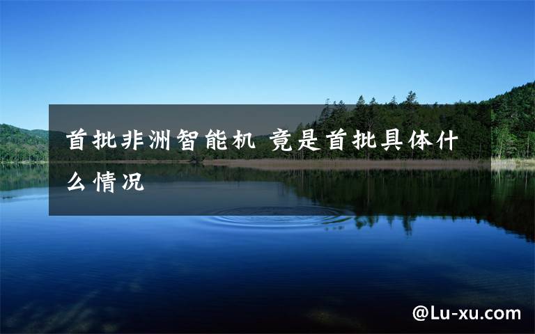 首批非洲智能机 竟是首批具体什么情况