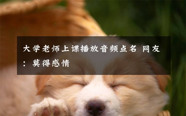 大学老师上课播放音频点名 网友:莫得感情