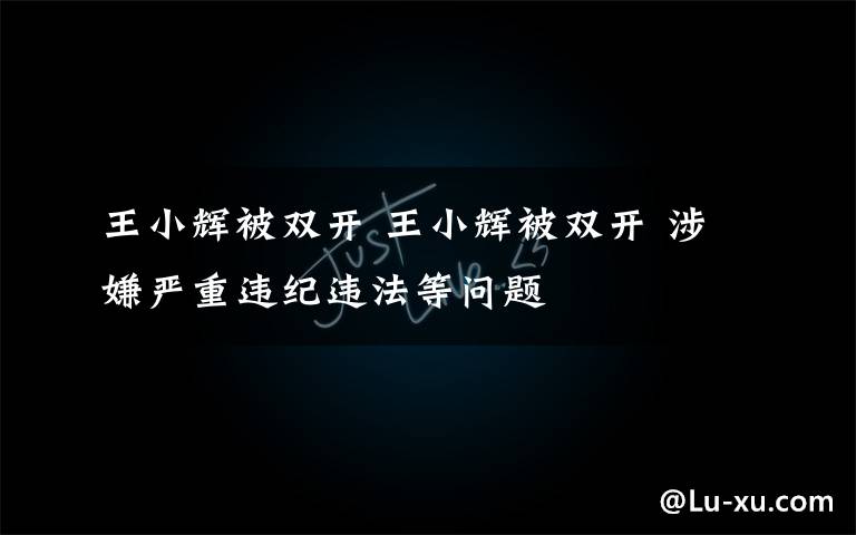 王小辉被双开 王小辉被双开 涉嫌严重违纪违法等问题