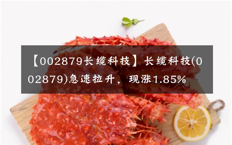 【002879长缆科技】长缆科技(002879)急速拉升,现涨1.85%
