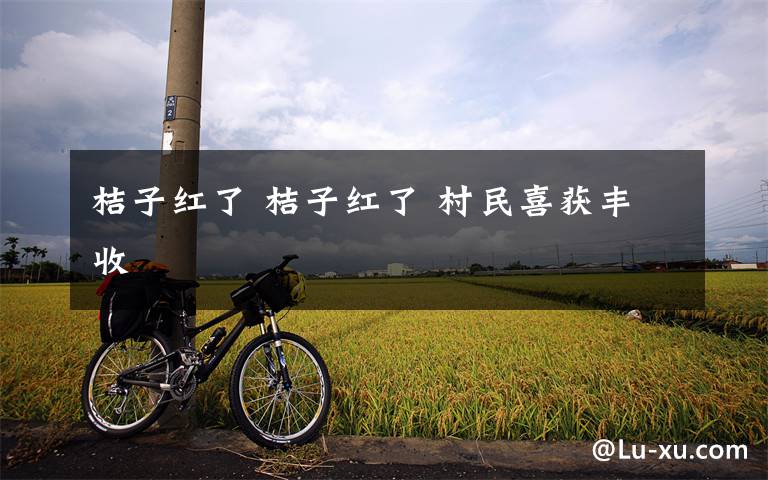 桔子红了 桔子红了 村民喜获丰收